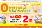 【2/1～2/28】厳選超特価情報お届け