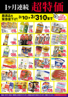 【3月】1カ月連続超特価