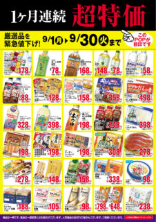 【9月限定】1ヶ月連続超特価