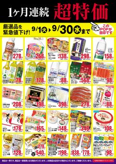 【9月】1ヵ月連続超特価