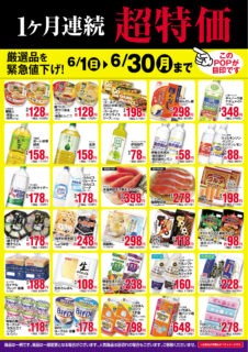 【６月限定】1ヶ月連続超特価